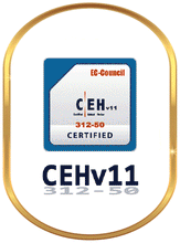 Load image into Gallery viewer, EC-Council - CEH v11