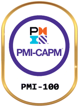 Load image into Gallery viewer, PMI-CAPM
