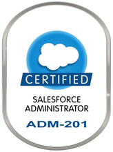 Load image into Gallery viewer, Salesforce - ADM-201
